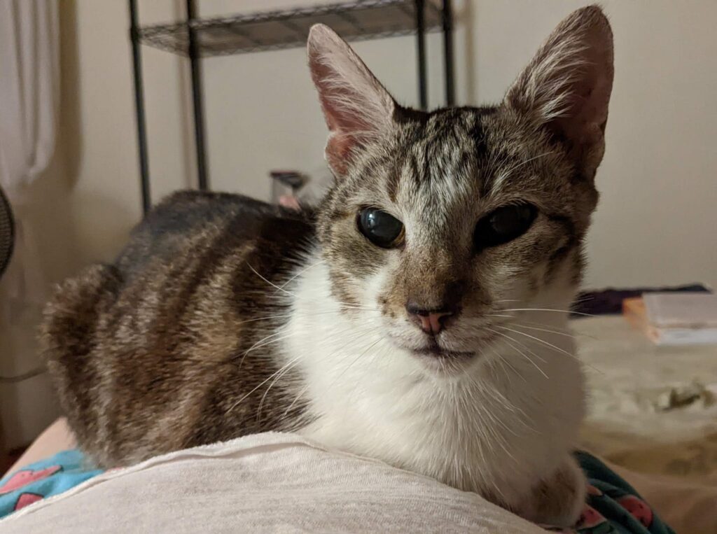 Millie