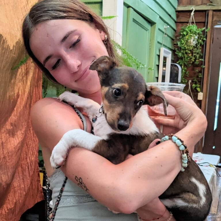 Get Involved - Be a Foster
