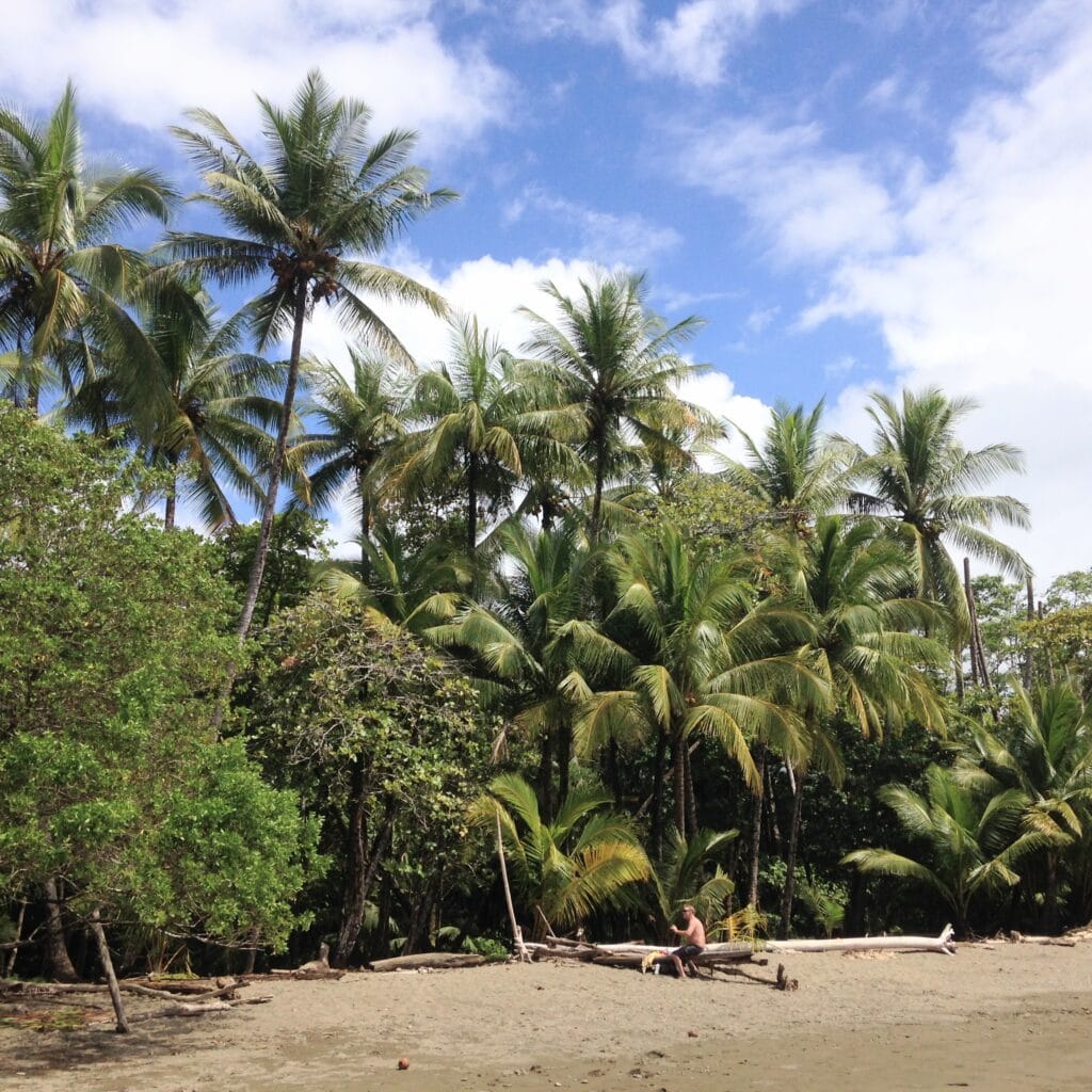 playa hermosa uvita