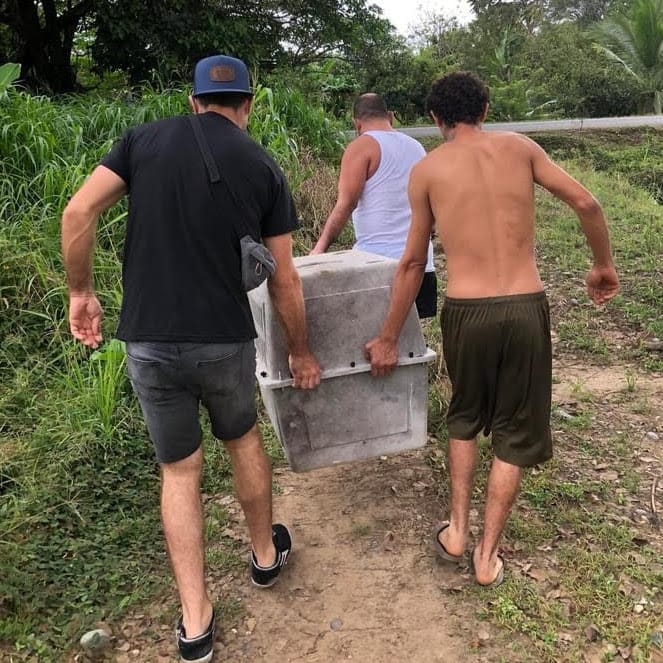 Rescate y rehabilitación