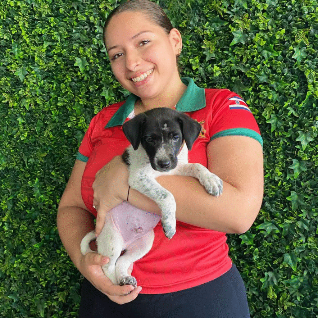 adopt from el refugio