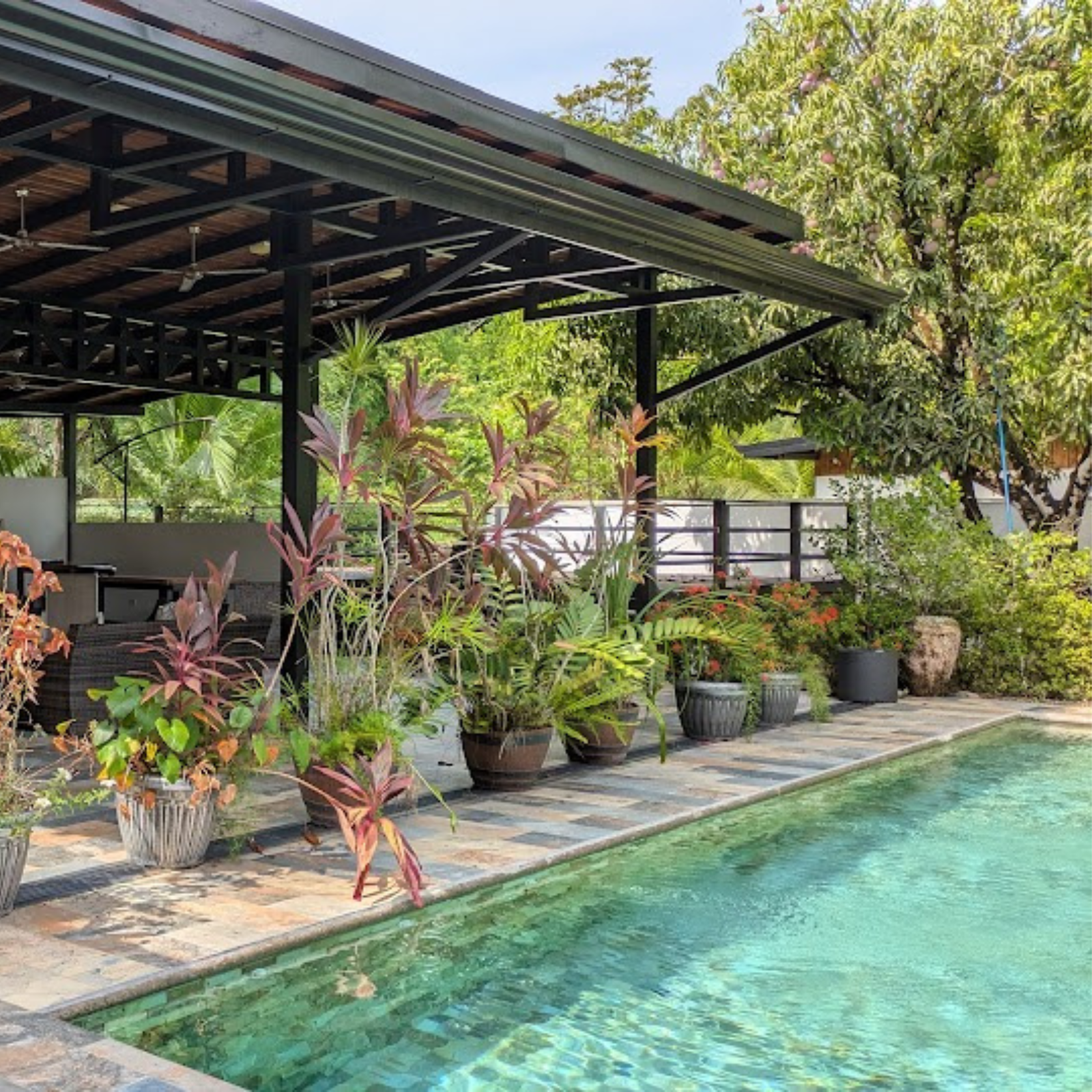 piscina