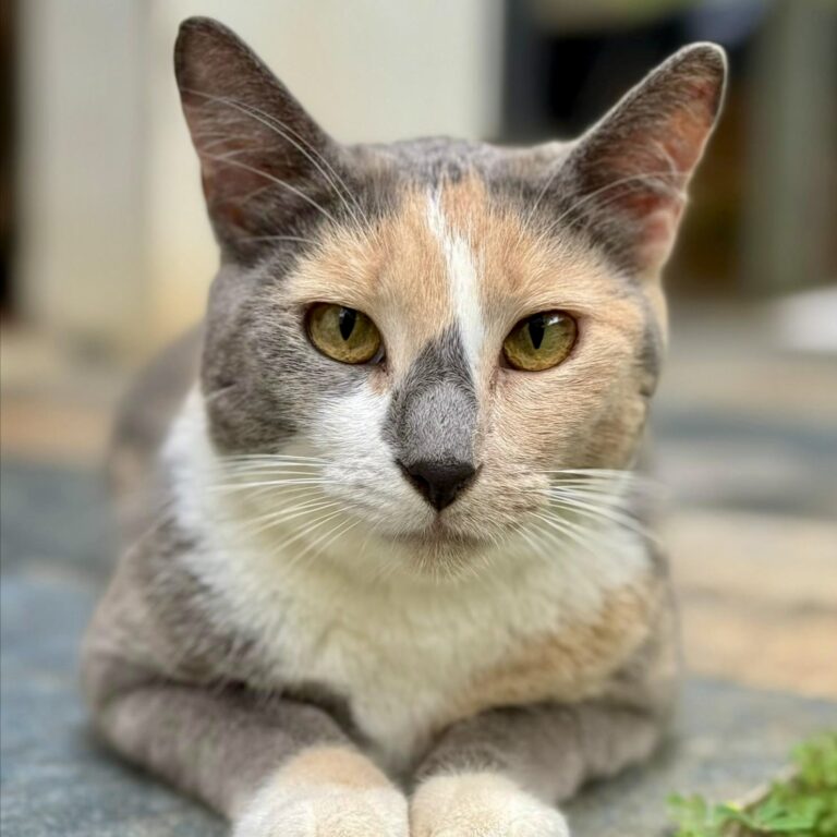 Lupita mirando la cámara