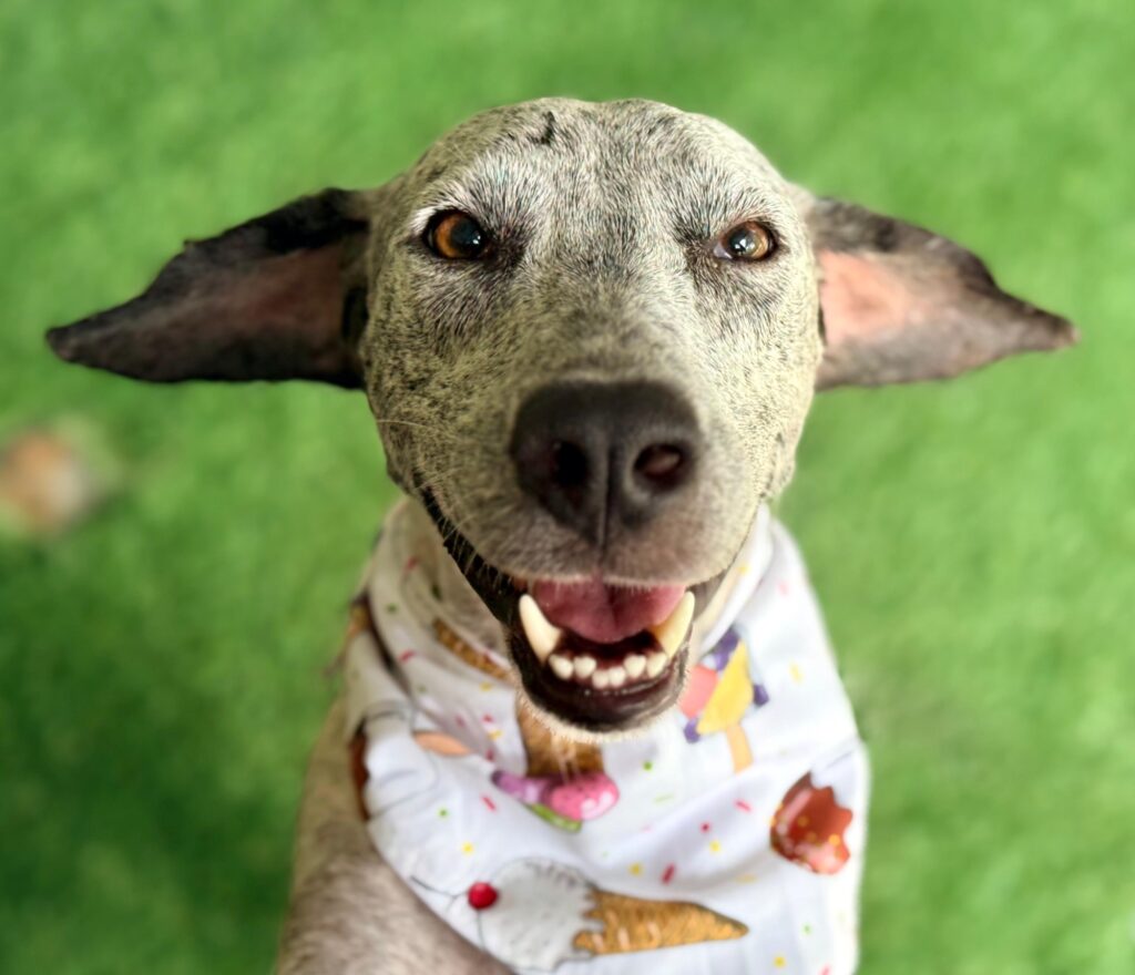 This is Linda being ecstatic!