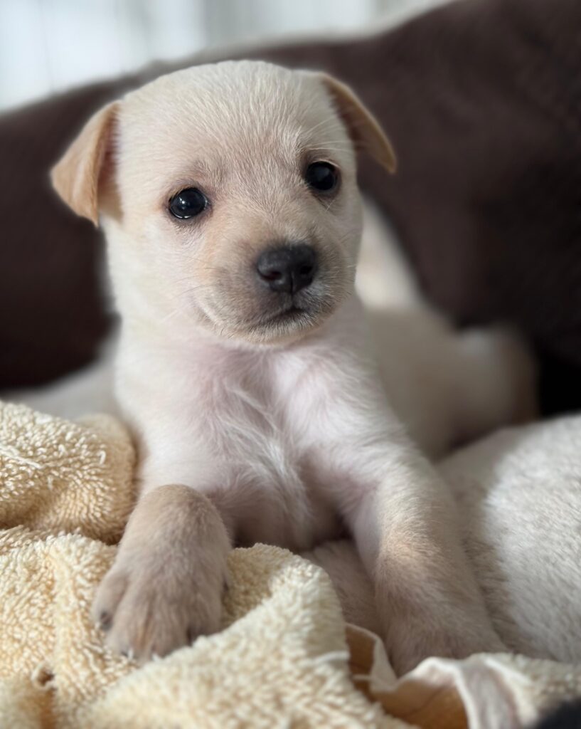 Look at these eyes!