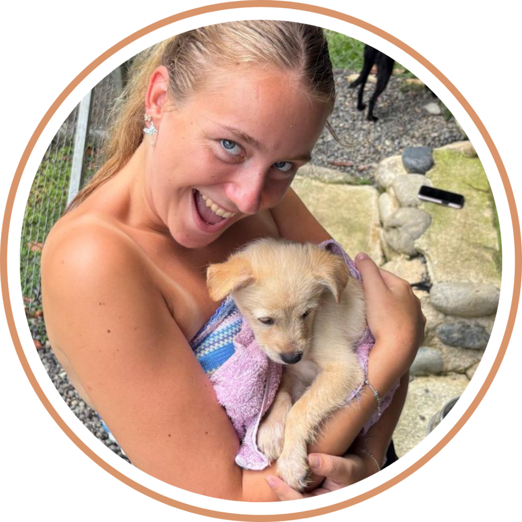 Voluntario L con crema adorable pup
