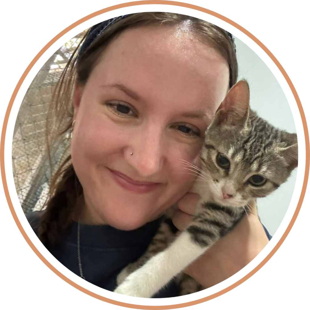 Voluntario M con tabby kitten