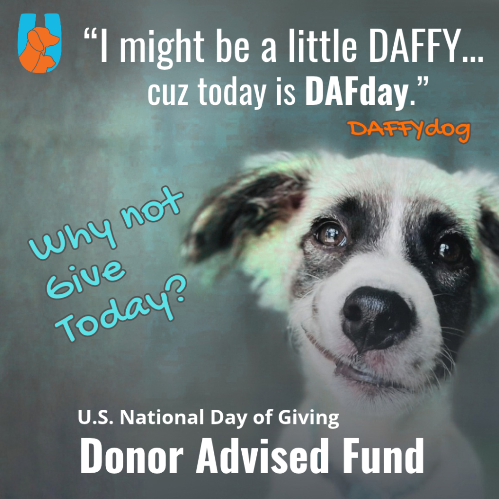 DAF POPUP OCT 8 DONATE