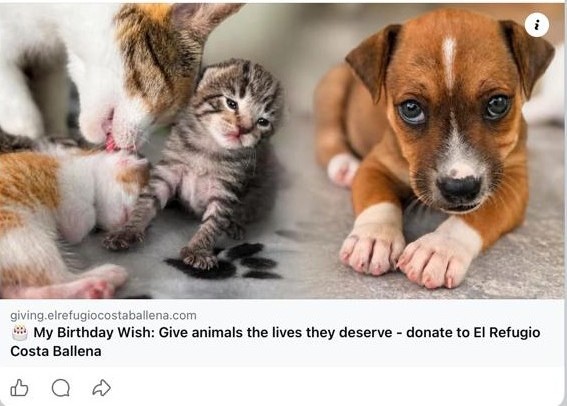 Example shows the Fundraiser photo and link below